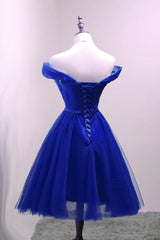 Cute Royal Blue Tulle Simple Party Dress , Lovely Formal Dress, Blue Homecoming Dresses