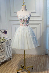 Cute Tulle Short Prom Dress with Lace, A-Line Homecoming Party Dress